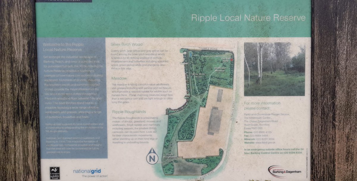 4️⃣days to go until the #RippleNatureReserve clean-up event

🗓️27th February, 10-12, meet corner Handley Page Road / River Road

🎟️SIGN UP ow.ly/LMog50I1KrT (please sign up in advance to help us manage numbers).  

🙏Organised in partnership with @ThamesWardCP &amp; <a href="/lbbdcouncil/">Barking and Dagenham Council</a>