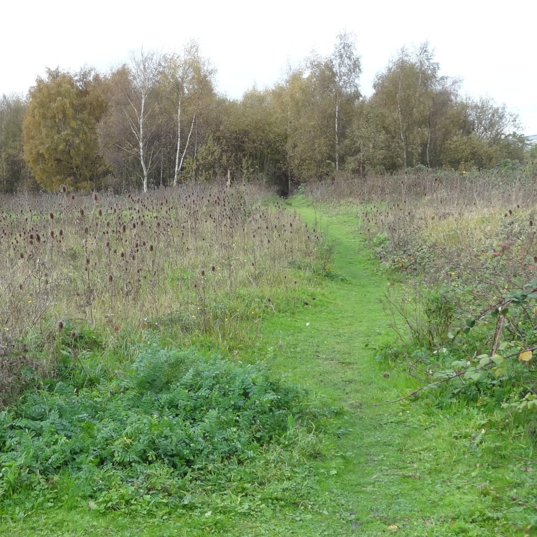 2️⃣days to go until the #RippleNatureReserve clean-up event!

🗓️27th February, 10-12, meet corner of Handley Page Road / River Road

🎟️SIGN UP ow.ly/Mj5F50I1LxC (pls sign up in advance to help us manage numbers)

🙏Organised in partnership with @ThamesWardCP &amp; <a href="/lbbdcouncil/">Barking and Dagenham Council</a>