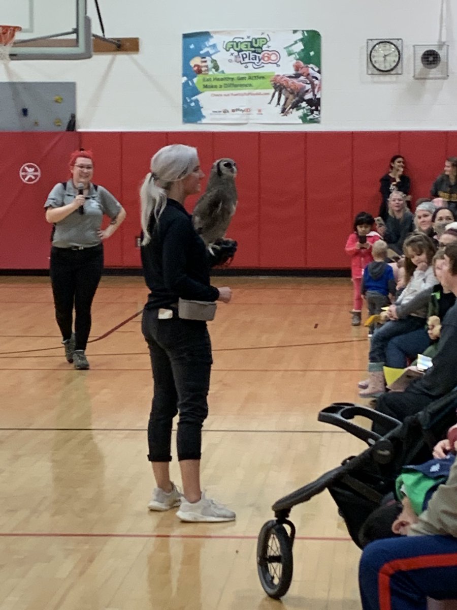 Chris Ritzi tweet media