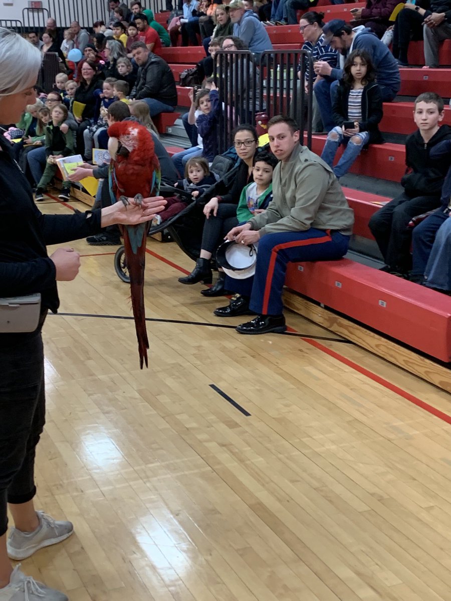 Chris Ritzi tweet media