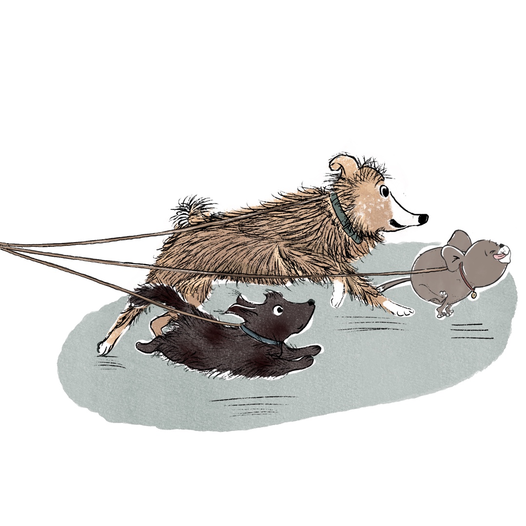 Today is national dog walking day (according to my app, 😉)....my dog would love to be walked every hour if we had the time.🐶#nationaldogwalkingday #kidlit #kidlitart #dogsoftwitter #PictureBooks
