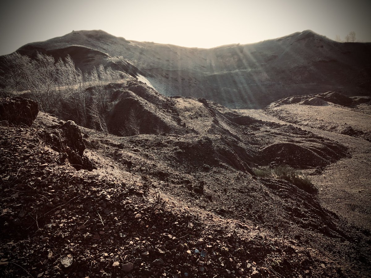 Mercy Falls | Movie tweet media