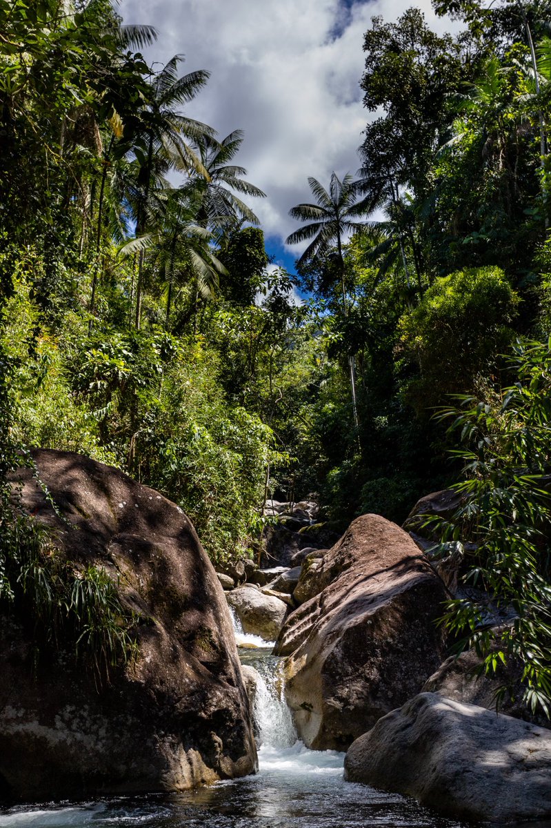 igoriamonti's tweet photo. GM, one of my favorite waterfall photography. 
#NFTartist #nftart #artvsartist2022 #nftphotography #nft #waterfall https://t.co/bOI8mMVE9q
