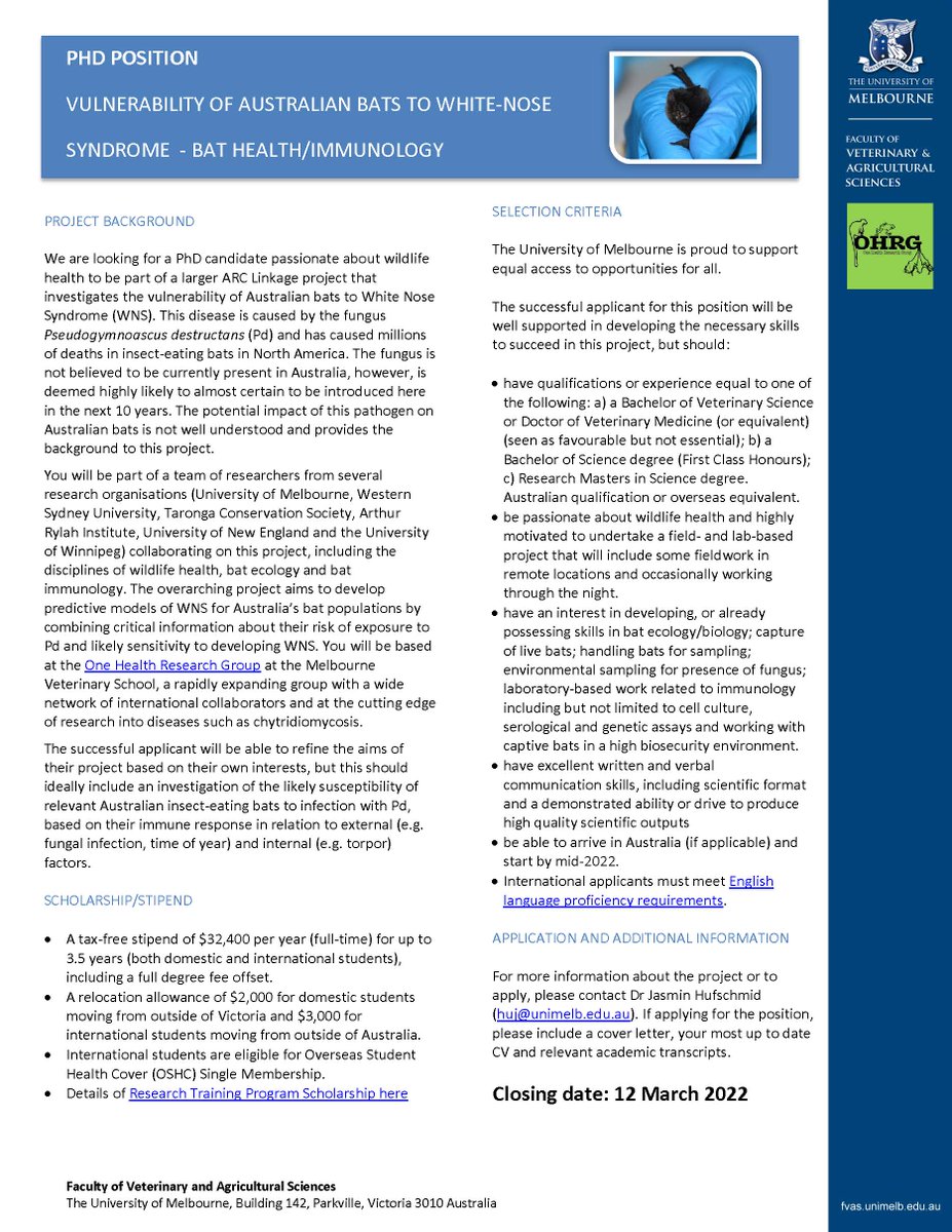 OneHealthRes's tweet photo. Interested in wildlife health, disease and bat conservation? Come do a PhD with us at 
@FVASunimelb
Join us in Australia for this ARC funded position

@Swissjaz @LA_Brannelly https://t.co/i76T9UAEKC