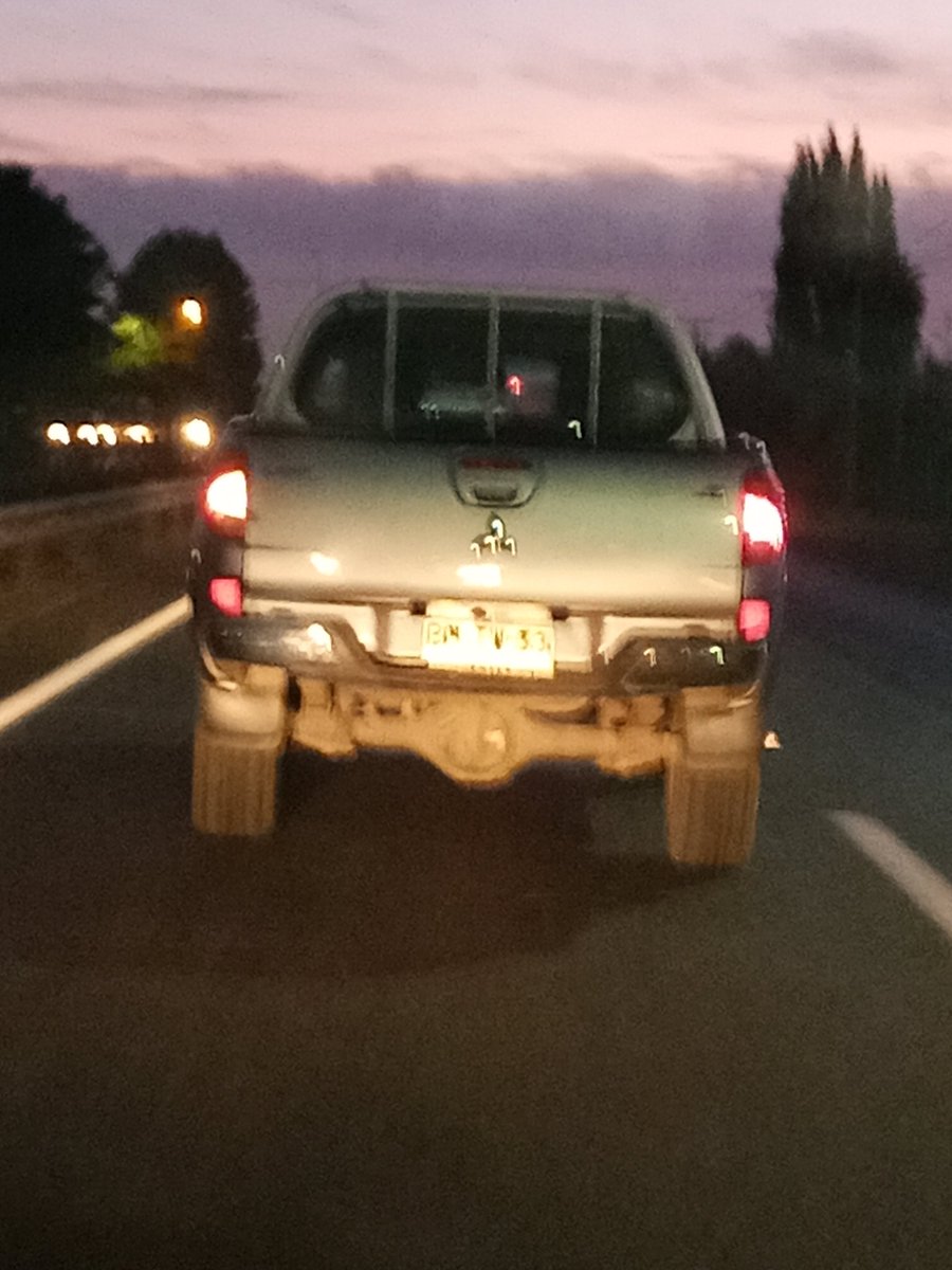 CAROLINA CAMPOS H. tweet media