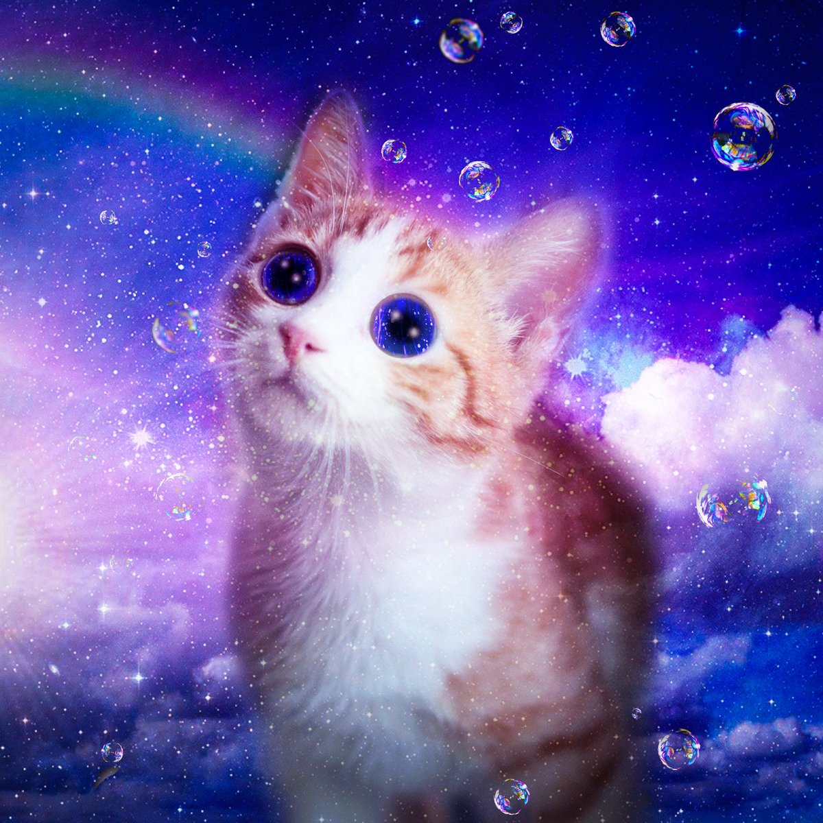 This cat is definitely in another world 💫 Where he is? 🙀 Do you know? 😛  Site >> https://t.co/yGjQI1yeta Check our NFT >> https://t.co/IIXTYPxV0L  @opensea #opensea #cat #NFT #neoncat #crypto #magic #sweet #