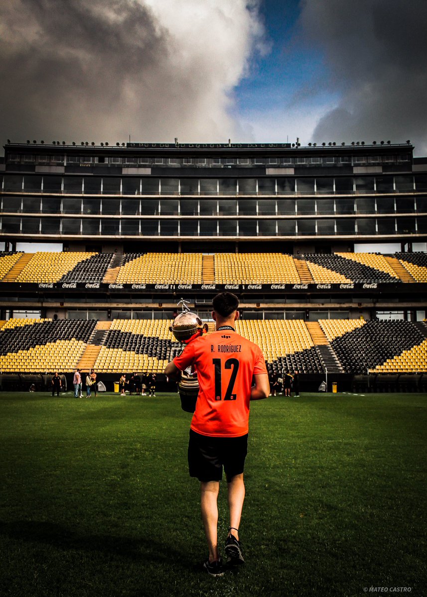 Randall Rodríguez tweet media