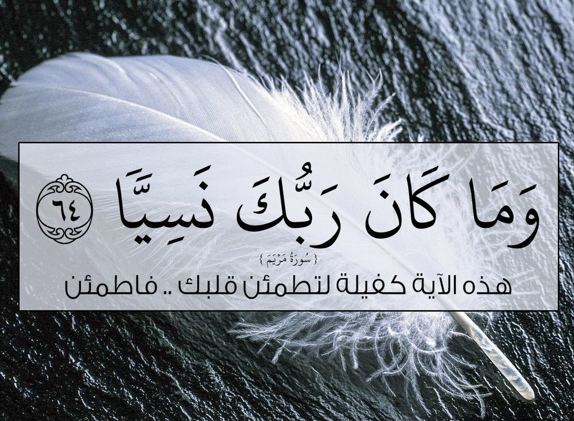 #الوتر_جنة_القلوب 

الناس تغلِق بابَها في ليلِها
واللهُ يفتحُ بابَه للناس  ..

الوتر  ..خير ختام ليومك..🌸