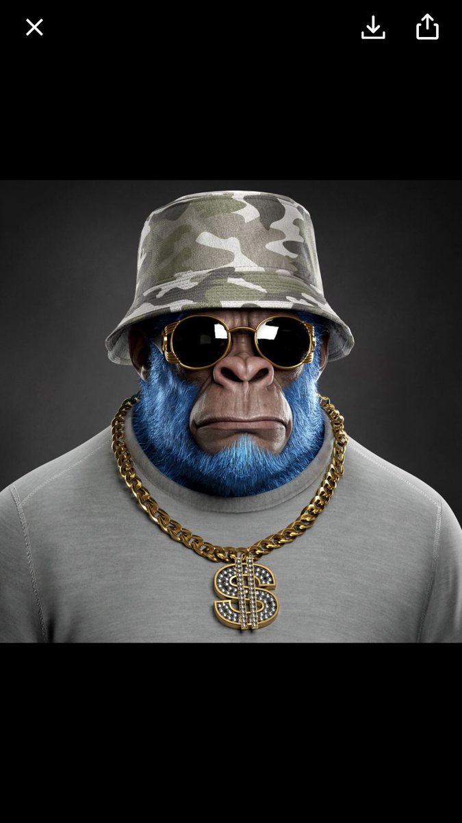 BilalAh_eth's tweet photo. @RajLahoti @supremekong Shotgun this one 👇aswel … my wallet ain’t deep like @RajLahoti but shotgun overpowers everything lol .. #supremekong #supremekongnft #KongSeason  👇👇👇 https://t.co/3yYRMmrCXw