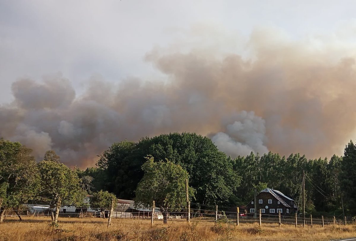 SomosValdiviaCL's tweet photo. Onemi declara Alerta Roja para la comuna de #Paillaco por incendio forestal @onemichile https://t.co/A59vBqz2ql https://t.co/Vy76WCaClx