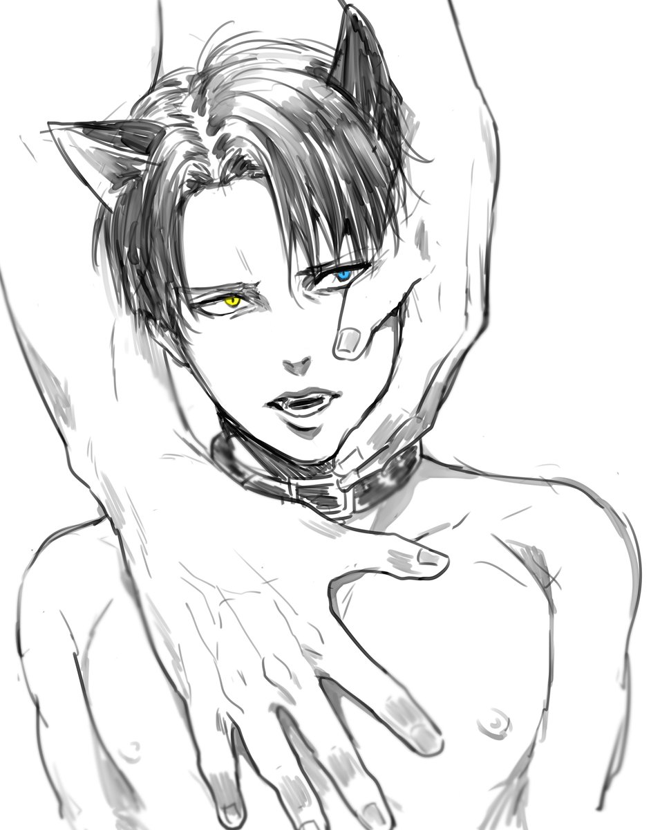猫っぽいもの集めてみた・・・ 