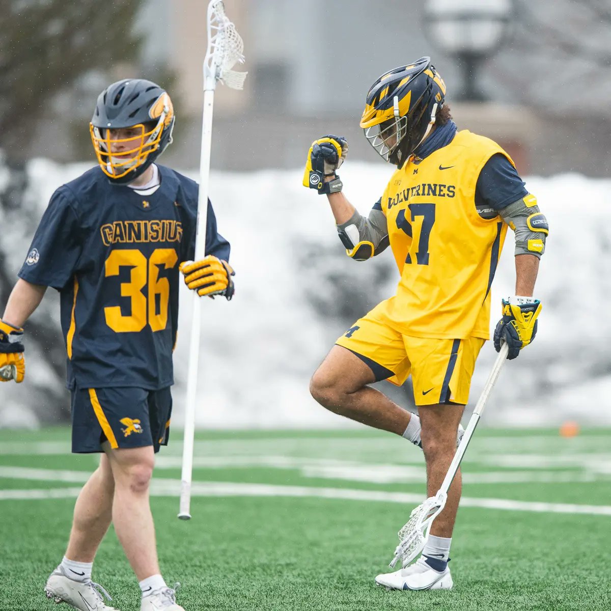 Michigan Men's Lacrosse tweet media