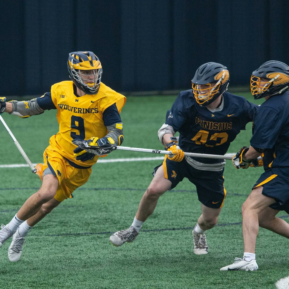 Michigan Men's Lacrosse tweet media