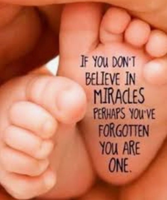 LovePatriots🔥& HateBullies♻️ tweet media