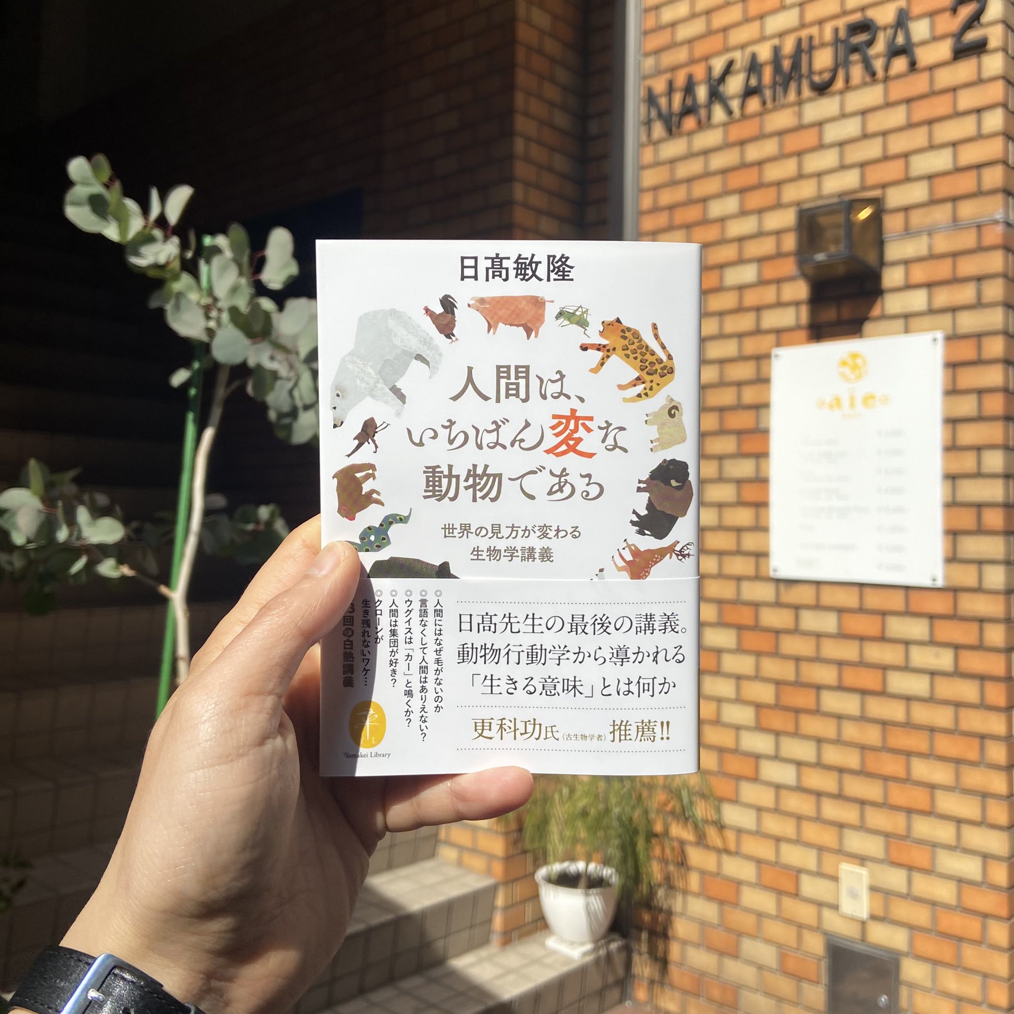 Clyssa の 本屋さん Clyssa7bookshop Twitter