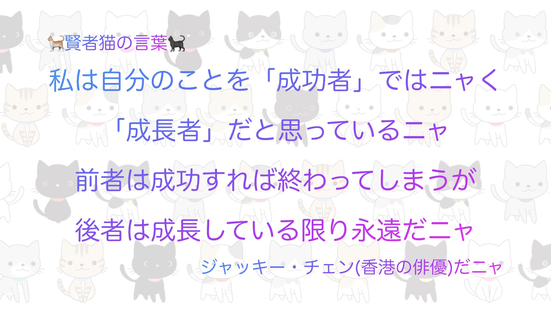 猫 賢者猫の言葉 名言 Philosophers Ca Twitter