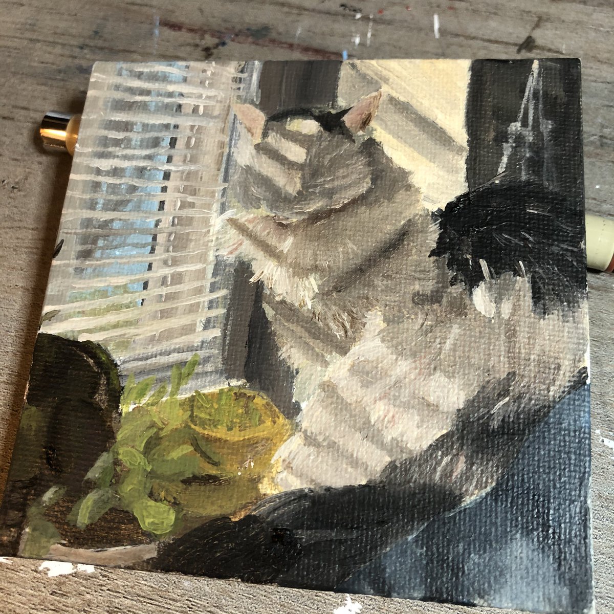 caticorn07's tweet photo. #potroast work in progress that looks cursed i will absolutely do more faceless cats 😂 this is as powerful as she is #potroastsmom #art #artists #artistsontwitter #CatsLivesMatter #oilpainting https://t.co/DT0uSpBqW6