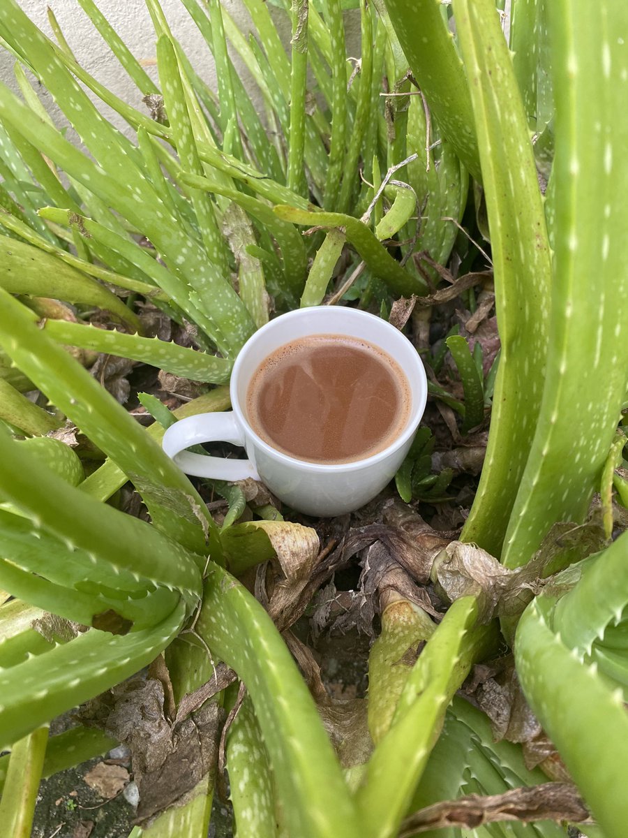 _jin16's tweet image. Lovely mornings worth waking up… ❤️

#Sikwate #HotChocolate #Tablea