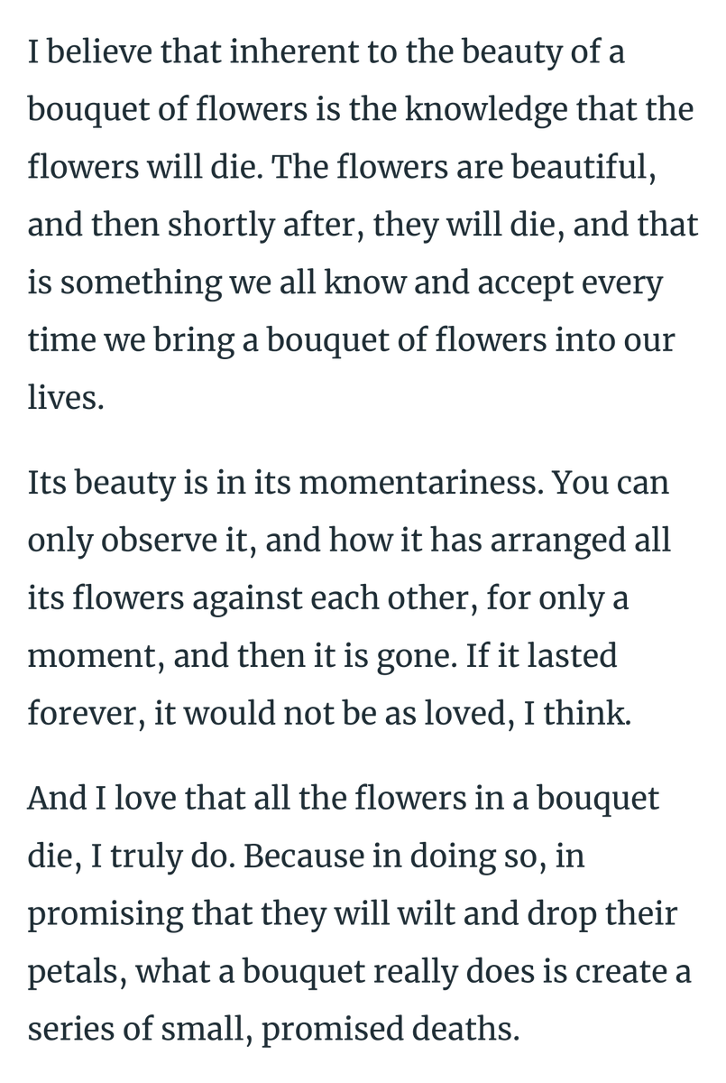 jonnysun's tweet photo. i wrote a bit about grief, healing, and why i love that flowers die.

https://t.co/WzWGdT9vPn https://t.co/aKUKA1kJj3