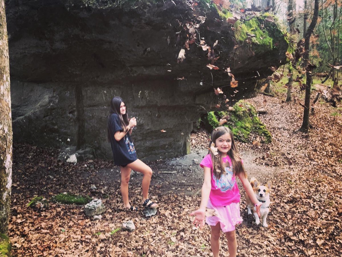 Josh Taylor tweet media