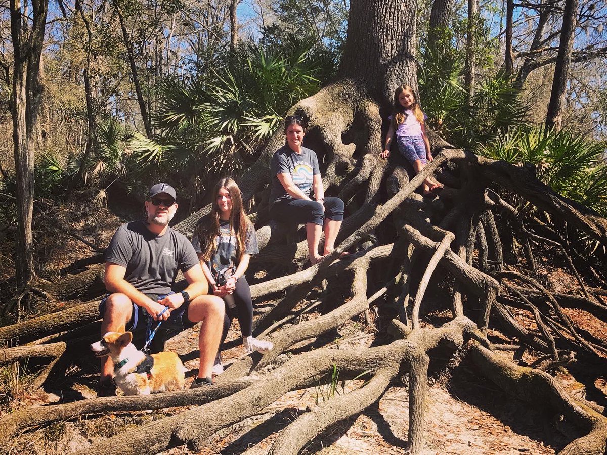 Josh Taylor tweet media