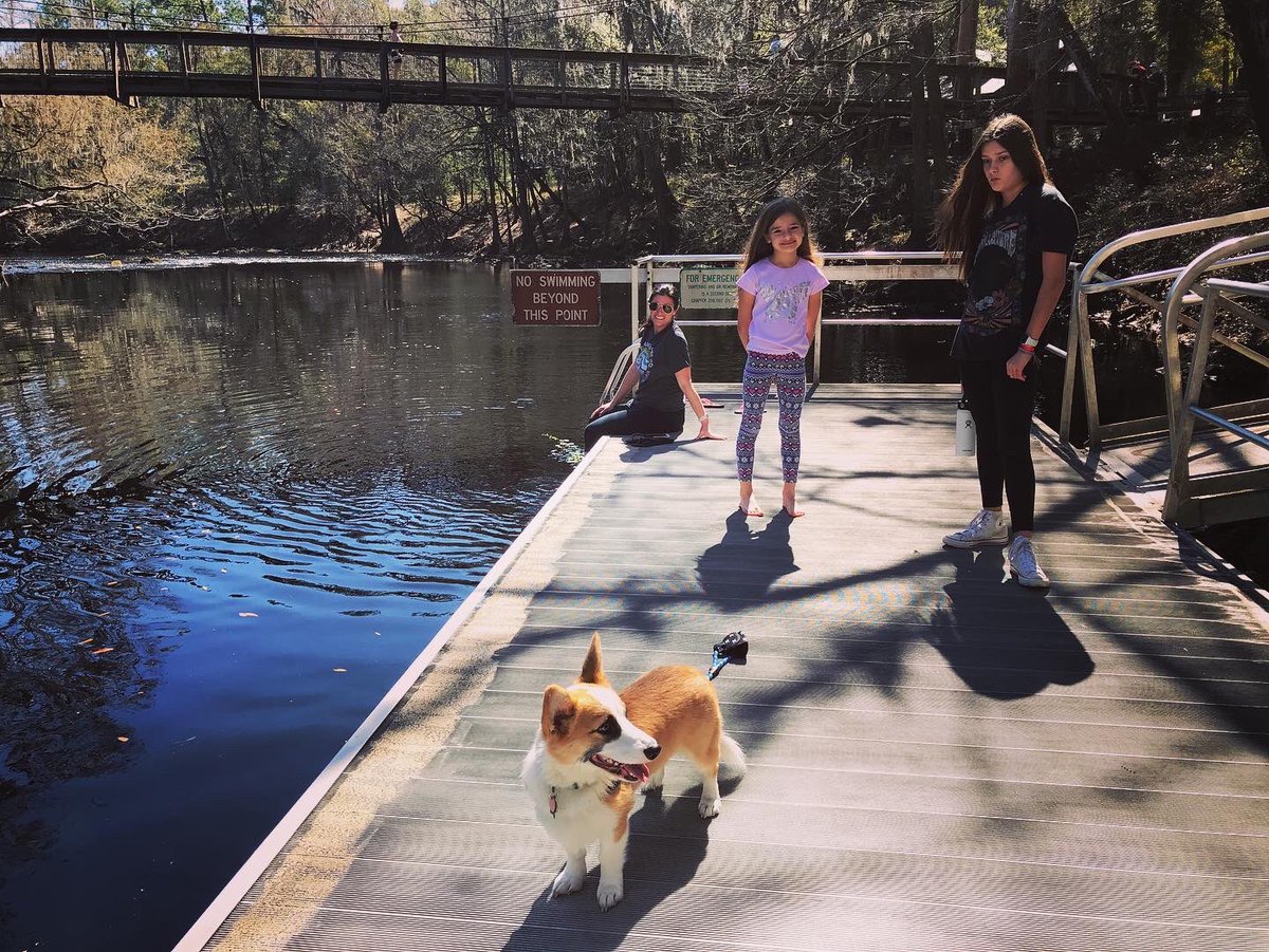 Josh Taylor tweet media