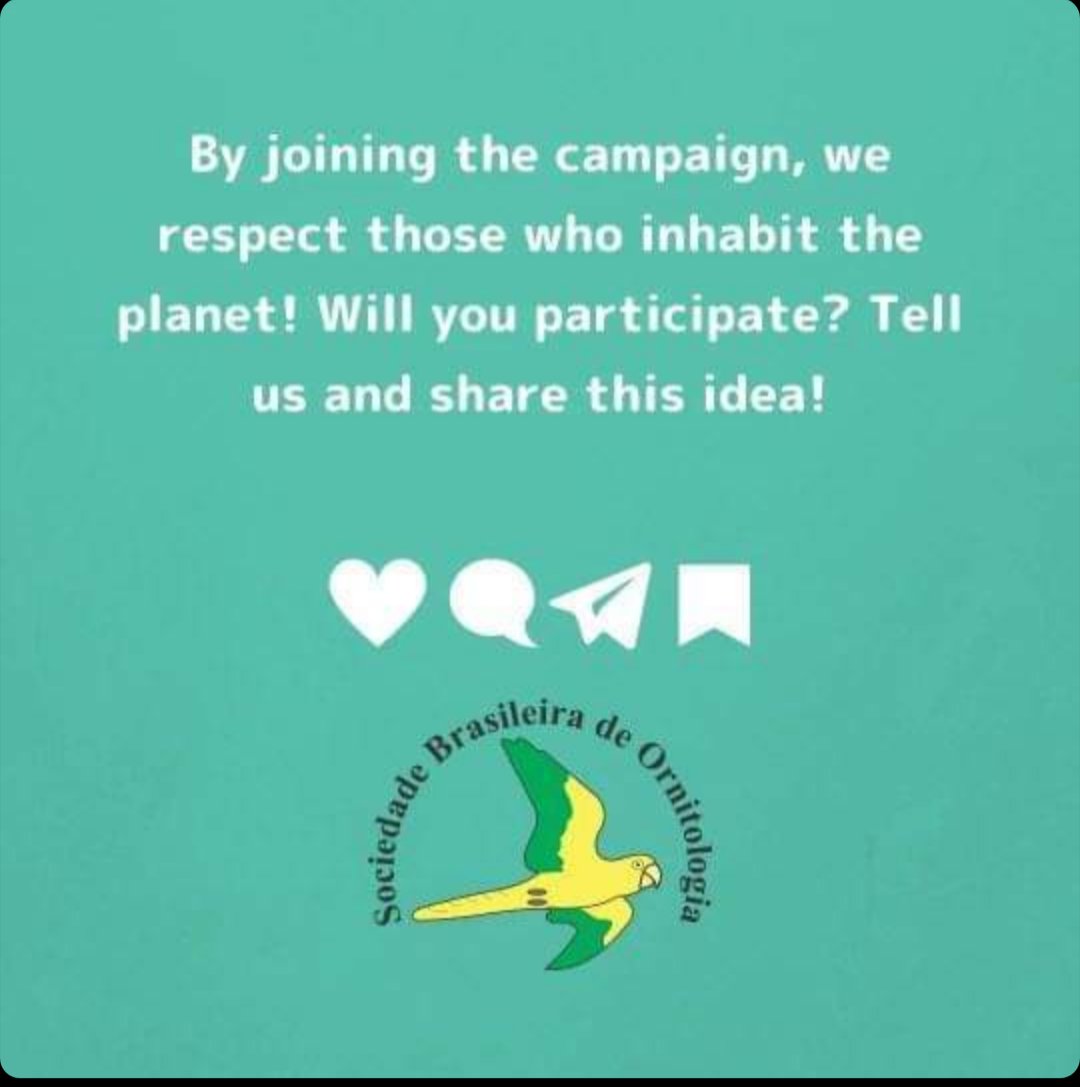 JonasRosoni_87's tweet photo. Hello, everyone! The Elastic Cut Campaign has already started. Come check out the information and how to participate!
Share the idea so no one is left out!
#COVID19 #birds #elasticcut #mask #ornithology #SBO https://t.co/XQrxnRDGid