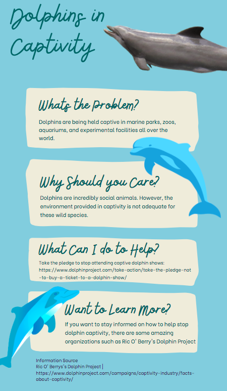 SBarakzoy's tweet photo. Check out my infographic!!! #39canimals #savethedolphins #enddolphincaptivity https://t.co/lXECxYnNuM