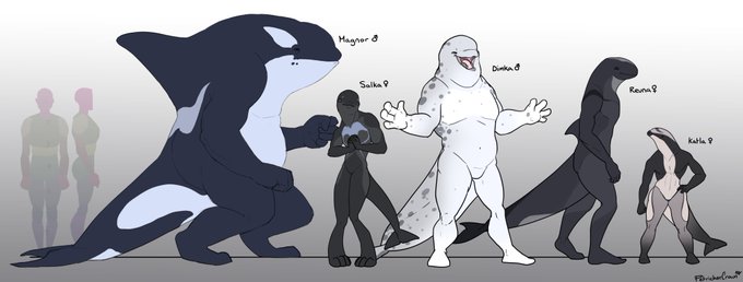 Phew! Here's a little line up I did of some cetacean characters. I really love Magnor and Revna 