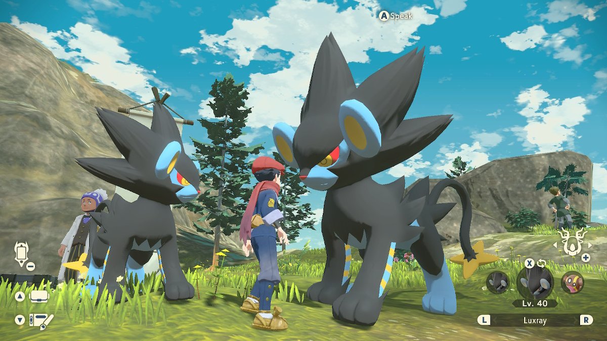 _Tunic_'s tweet image. #PokemonLegendsArceus #NintendoSwitch
Daniel, the cooler Daniel