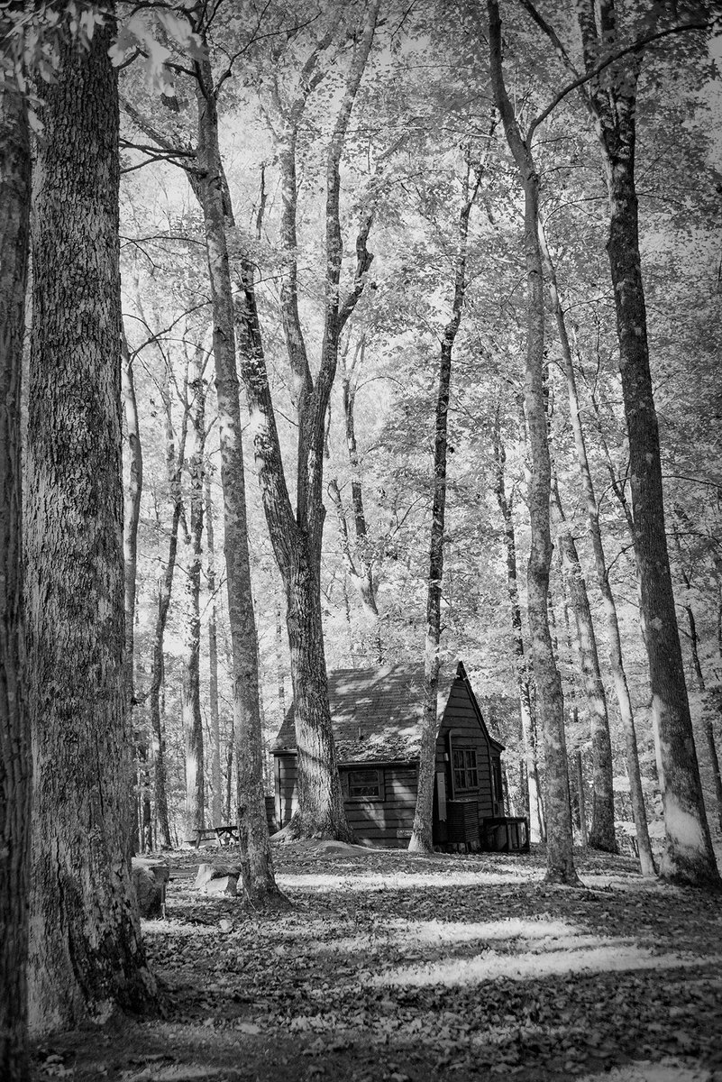 DMartinezImages's tweet photo. GE hump busters! I hope everyone had a good day! #NFTphotographers #blackandwhitephotography #bwcrew #monochrome https://t.co/x9OVX5MVhz