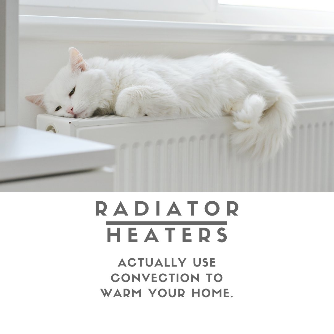 RPropertiesMN's tweet photo. Feeling toasty Your radiator doesn't actually radiate heat - it uses convection to warm your home.

#housefacts #home #design #interiordesign #whiteroom #catlover https://t.co/tZbcj585PY