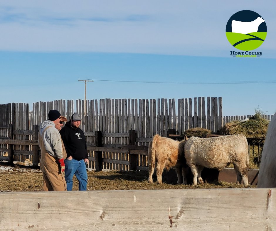 Happy Canadian Agriculture Day from our ranch to yours, may we celebrate this great industry we live and work in!

#CdnAgDay