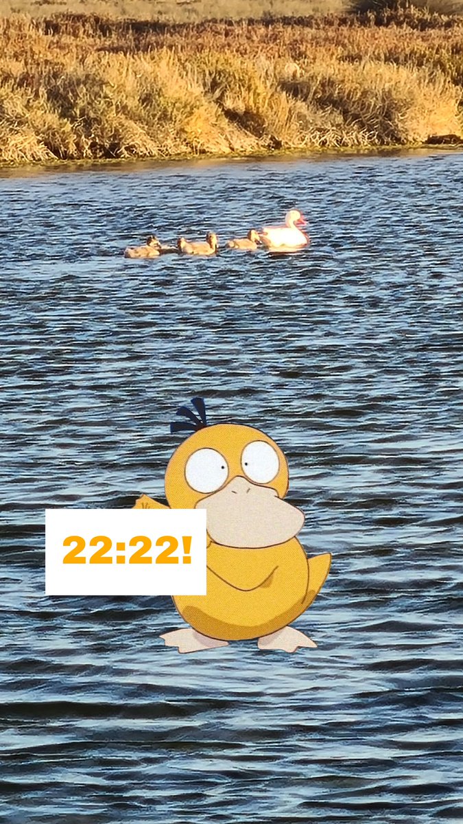 Foto de un #ParDePsyducks y la mamá Psyduck con un Psyduck editado 🤙 <a href="/DescuentosRata/">Descuentos Rata 🐭</a>