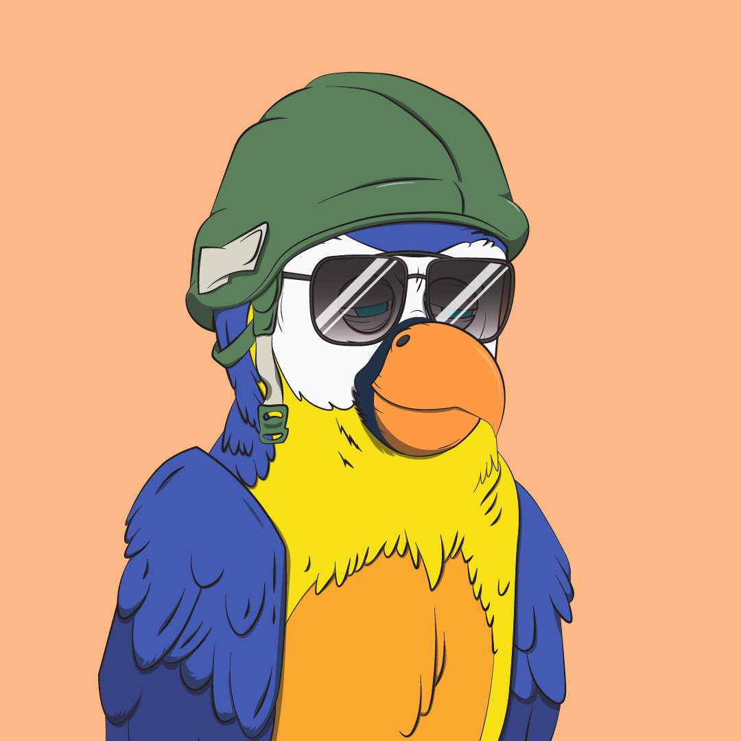 Bored Macaw Sol Club tweet media