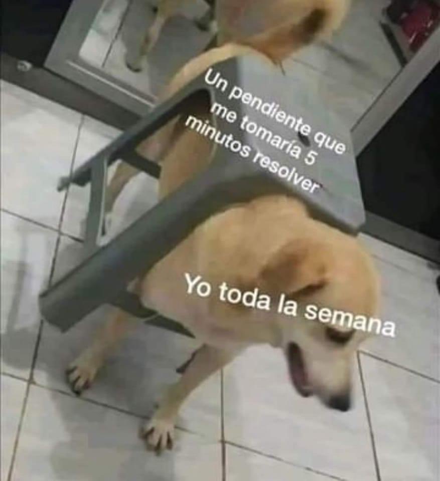 DiloConPerritos's tweet photo. Yo en estos momentos: https://t.co/GP3CuWMITr