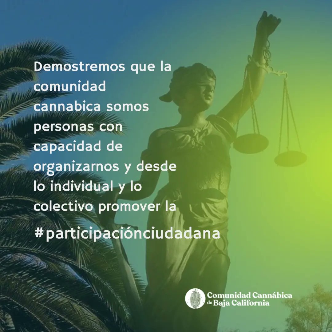420ccbc's tweet photo. #movimientocannabicomexicano https://t.co/z6AkHVkOyU