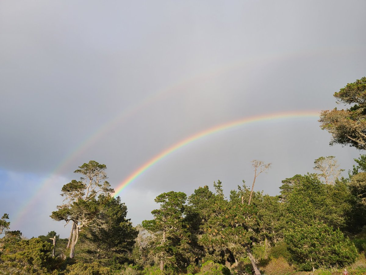 cyn_palmer's tweet photo. Hard to call it #RainbowChasing when the rainbow comes to you on your walk. #CAwx https://t.co/rPWhbjzde2