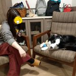 ツイートに含まれる画像