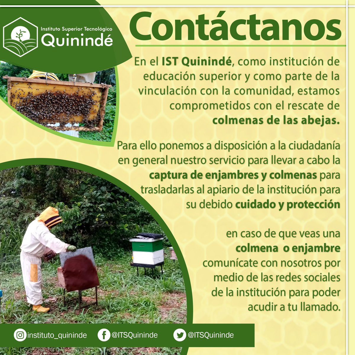 ITSQuininde's tweet photo. 🔊 En @ITSQuininde estamos comprometidos con el rescate de colmenas 🐝 en el sector, con nuestro servicio para la captura de enjambres y colmenas enfocados en su debido cuidado y protección  

Comunícate a nuestras redes sociales en el caso de que detectes una colmena o enjambre https://t.co/piVhs7vz1t