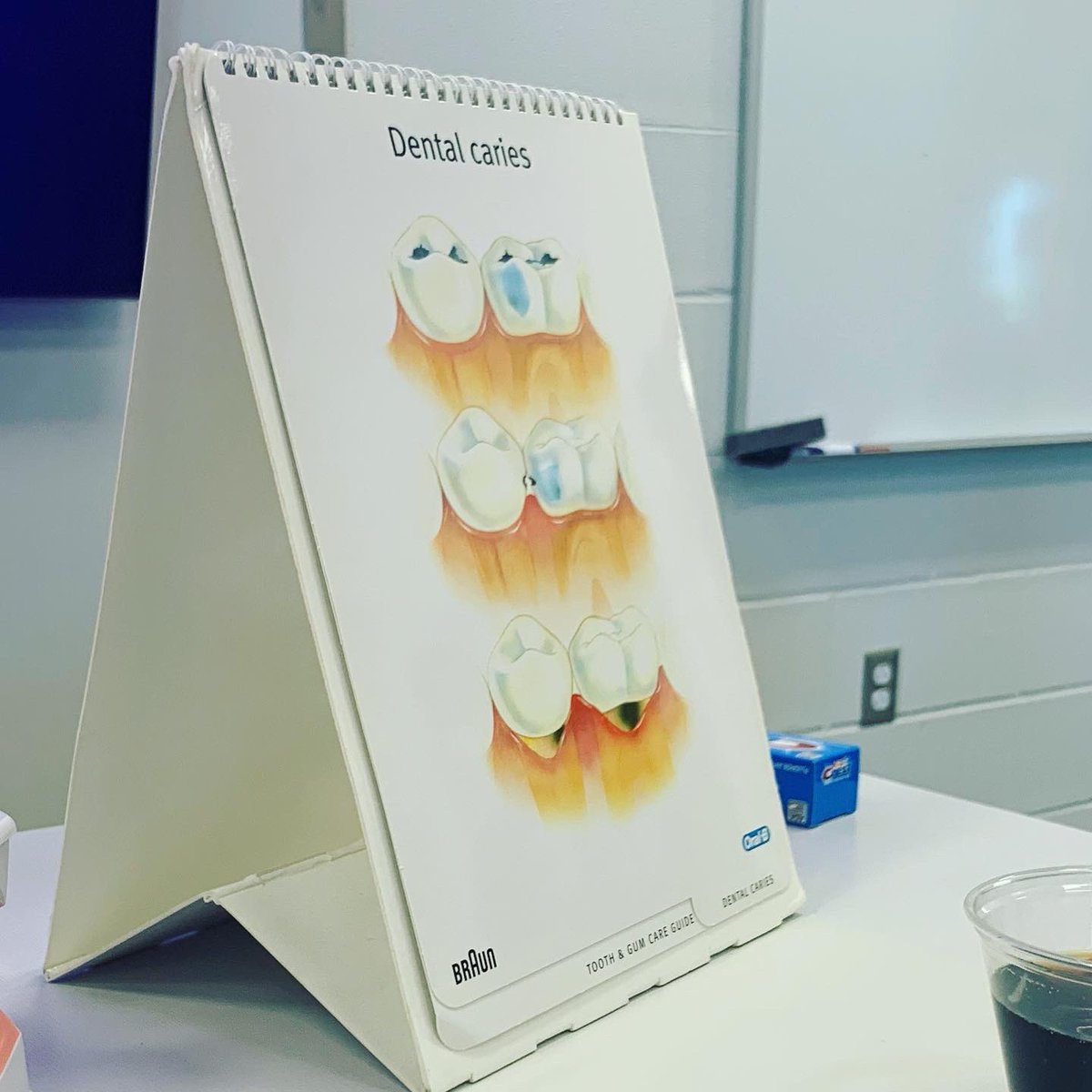 MAVSFACS's tweet photo. Today I got to watch students at Maize South Elementary learn about dental care and do an experiment with how soda can stain teeth! #266FutureTeachers Ms. Schneweis helped students scrub their egg back to white with toothpaste! https://t.co/NC80s7sDNr