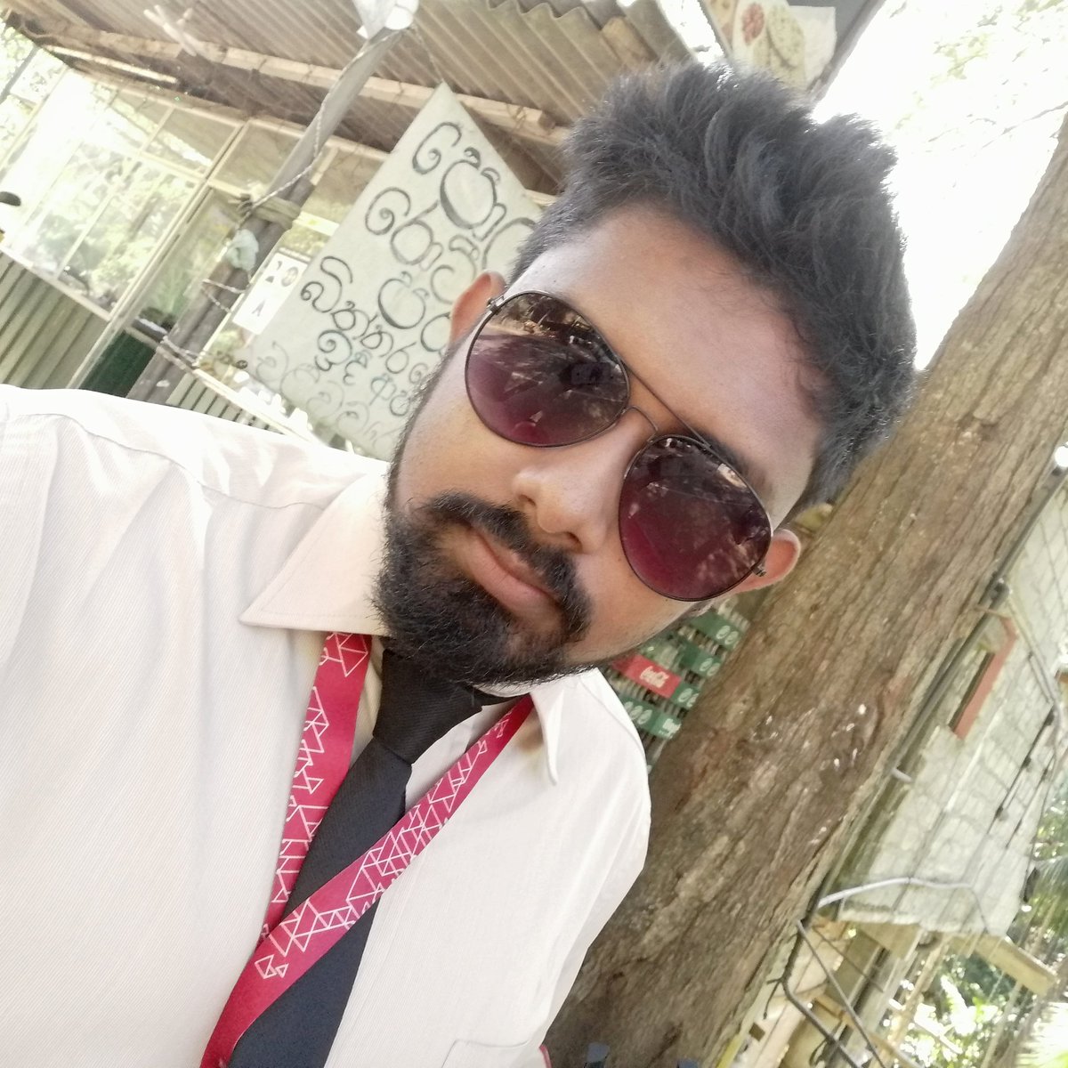 AnujaDiyath's tweet photo. #NewProfilePic https://t.co/AKsPnzJ7yJ
