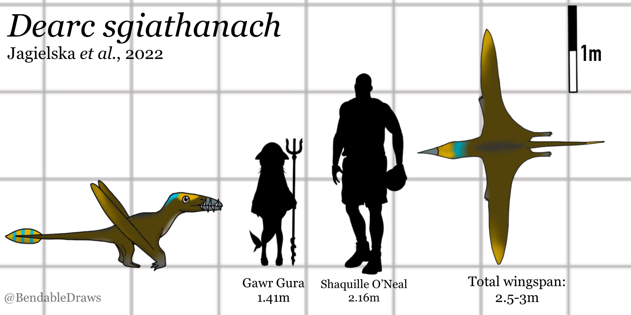 Size Comparison of Large Pterosaurs in 2023