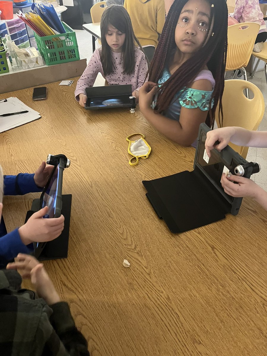 AdamsjpJulie's tweet photo. I spy with my little eye… and a microscope… where does the plant start?#science #mpesem @burgessmpe @TamezMPE @MPE_Mustangs https://t.co/tenO62M7FS