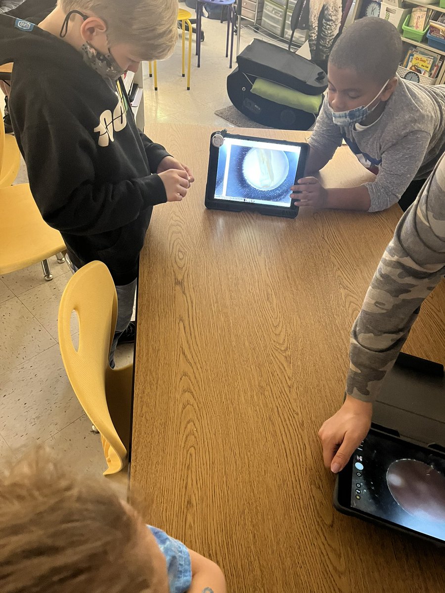 AdamsjpJulie's tweet photo. I spy with my little eye… and a microscope… where does the plant start?#science #mpesem @burgessmpe @TamezMPE @MPE_Mustangs https://t.co/tenO62M7FS
