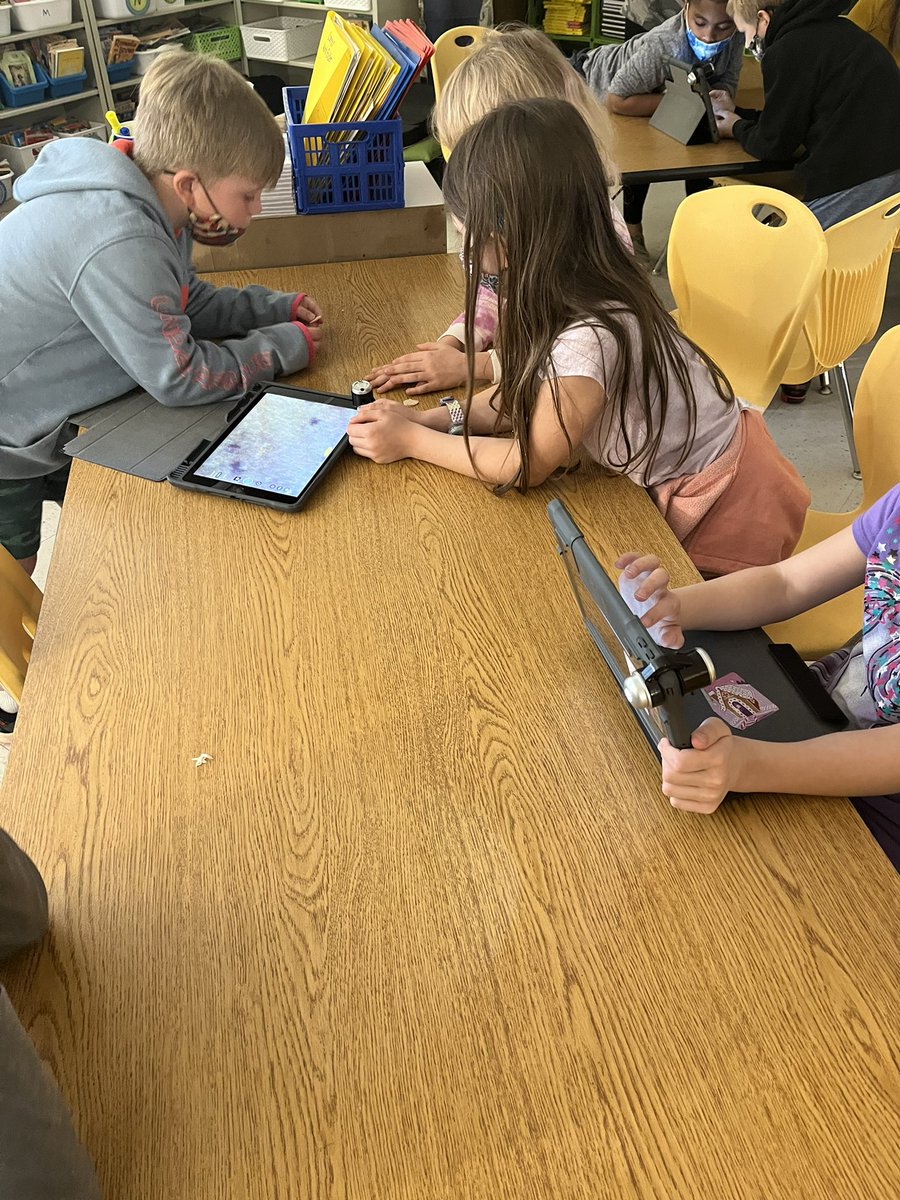 AdamsjpJulie's tweet photo. I spy with my little eye… and a microscope… where does the plant start?#science #mpesem @burgessmpe @TamezMPE @MPE_Mustangs https://t.co/tenO62M7FS