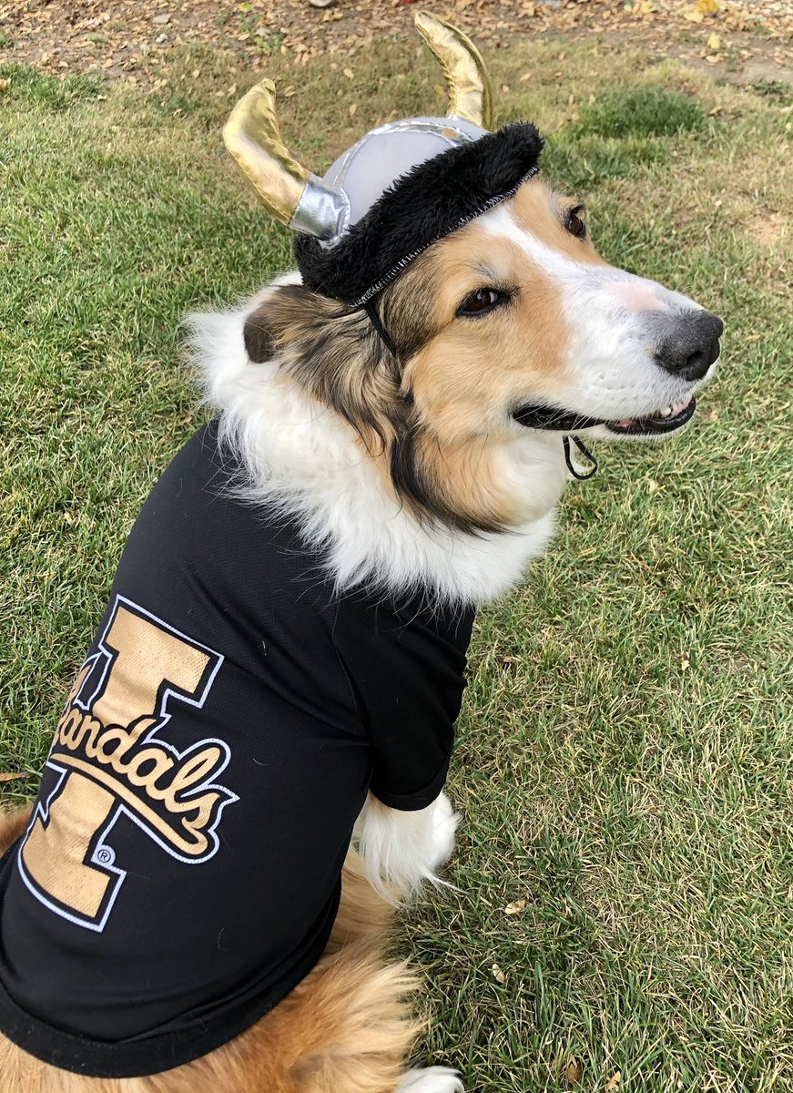 WilmaBenton19's tweet photo. @bunsenbernerbmd I have a hat! I am a vandal! #HatFriendDay https://t.co/cArYzPNwSS