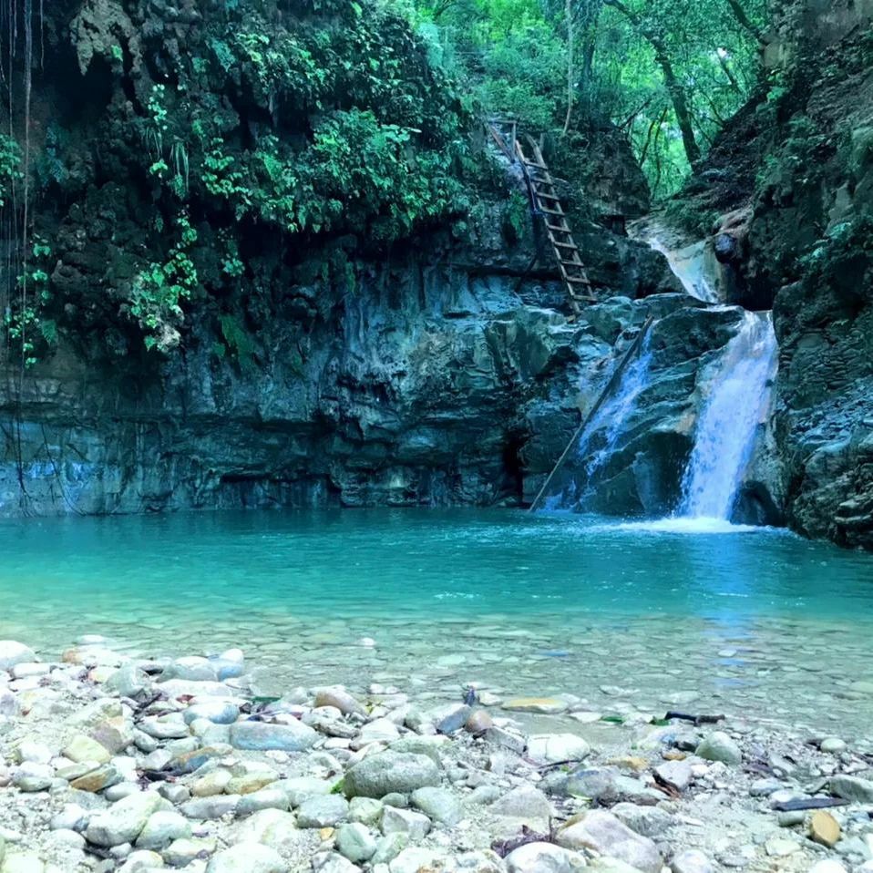megaadventuredr's tweet photo. Our tour takes us through a pleasant path of the Damajagua River and through its 7 waterfalls, each with its own personality! We delight in the song of the birds and the melody of the streams, in addition to the dialogue with expert guides who help us ascend from the first w… https://t.co/FQDoWcBKUa