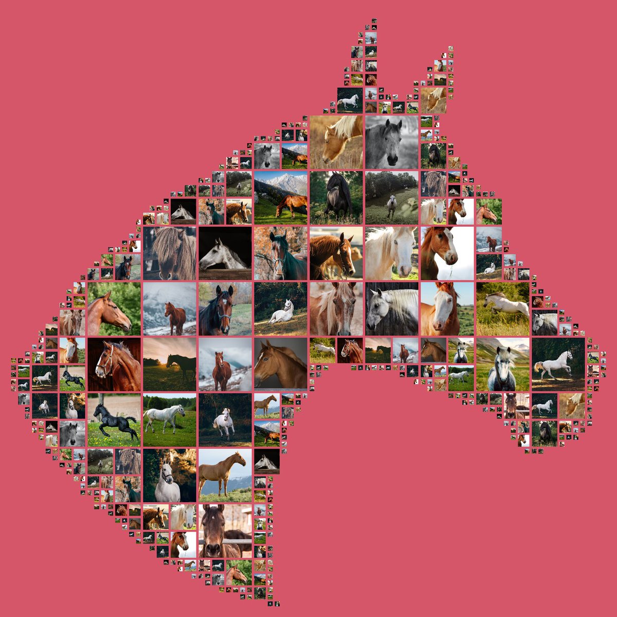 iis_nft's tweet photo. New NFT | Horse Images in Shapes
What do you think??? 
Link in the bio ❤Handshake
#newnft #NewNFTProfilePic #newnfts #opensea #OpenSeaNFT #horse https://t.co/PAeymy7lp2