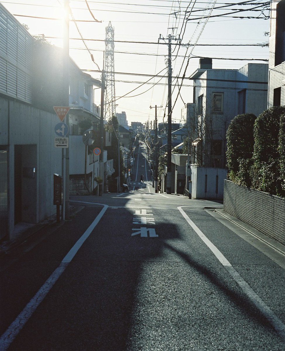 zentanakata's tweet photo. ordinary days https://t.co/CXAFESg8LF